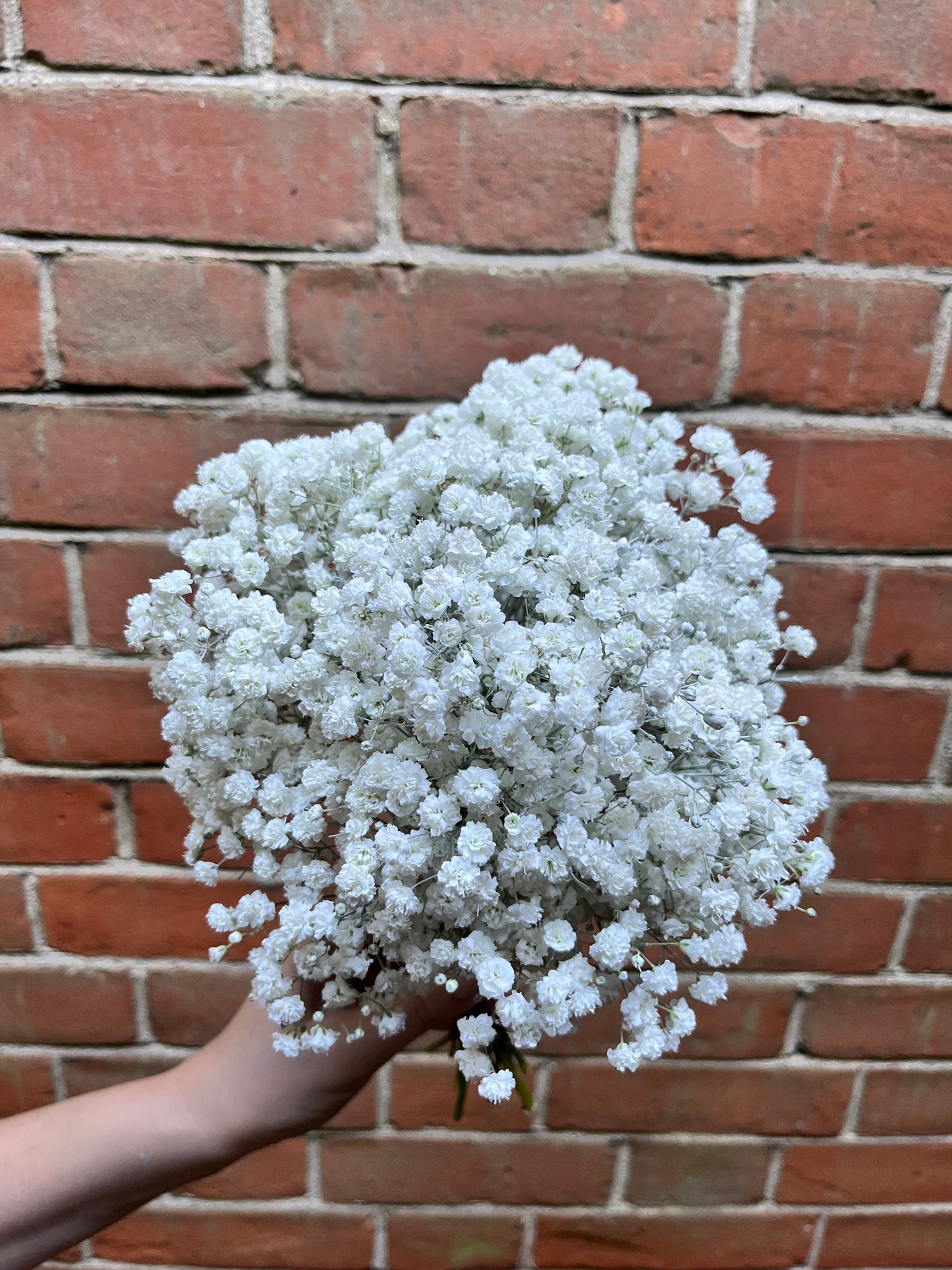 Gypsophila Bridal Bridesmaid Bouquet