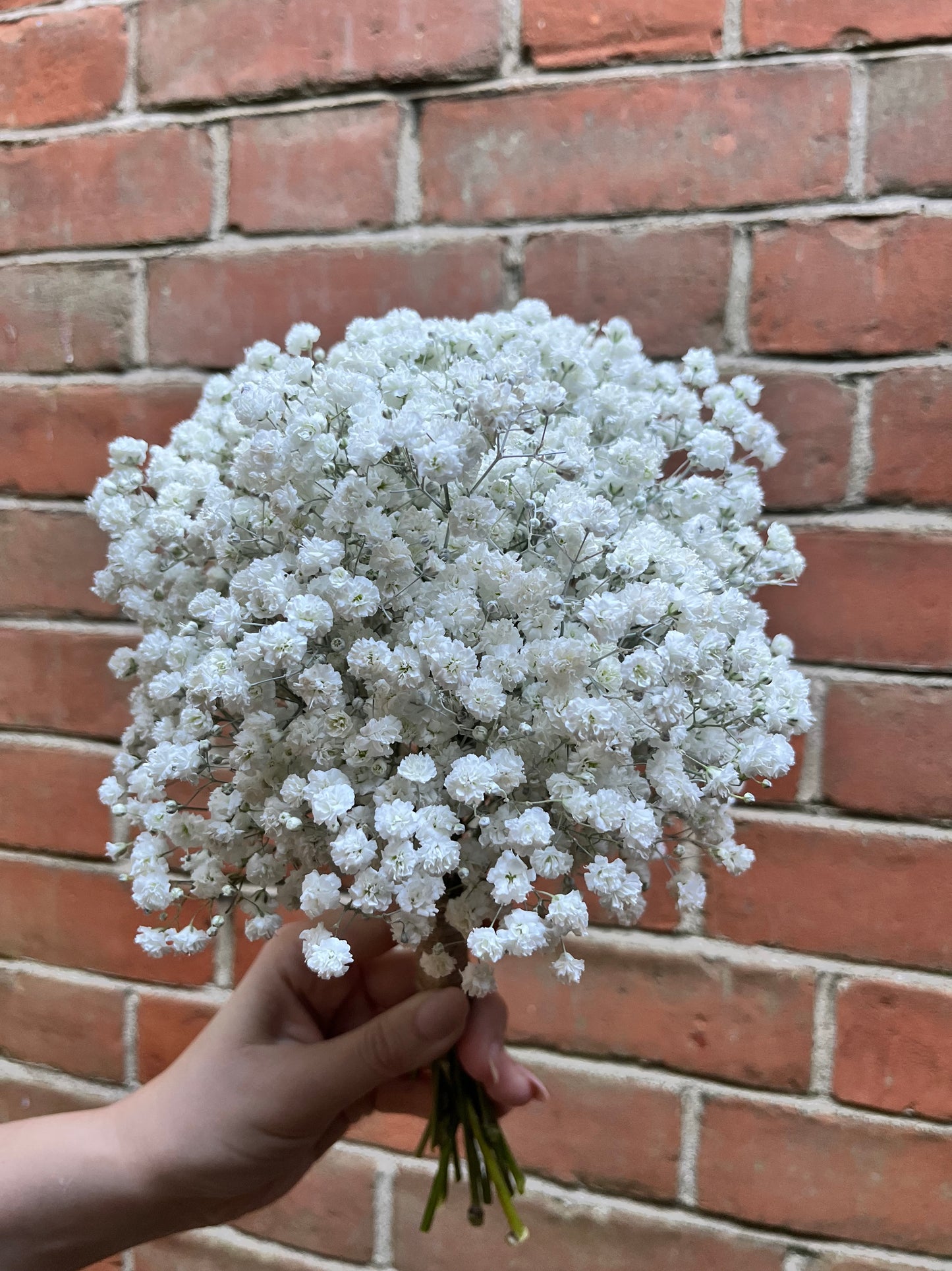 Gypsophila Bridal Bridesmaid Bouquet