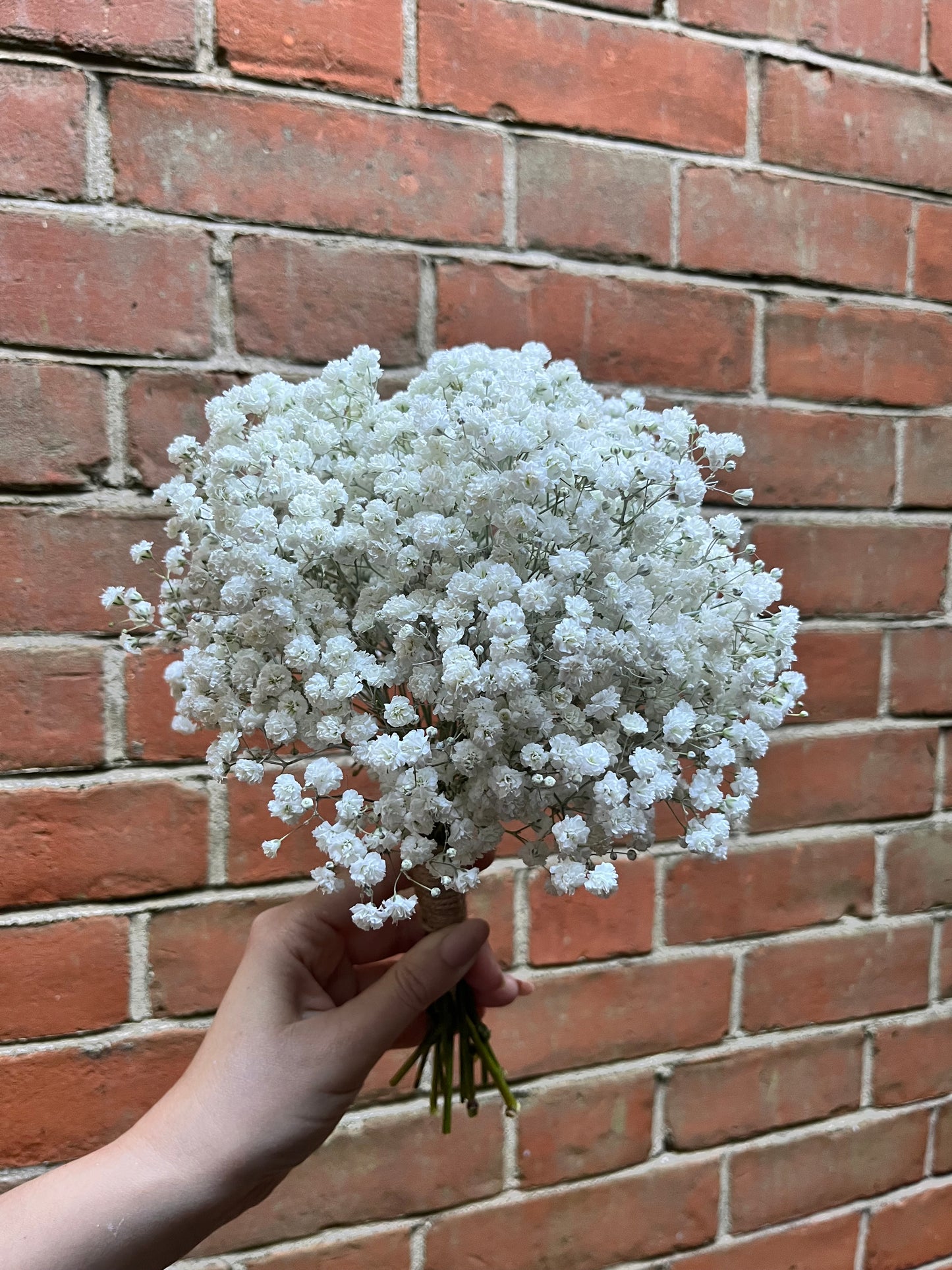 Gypsophila Bridal Bridesmaid Bouquet