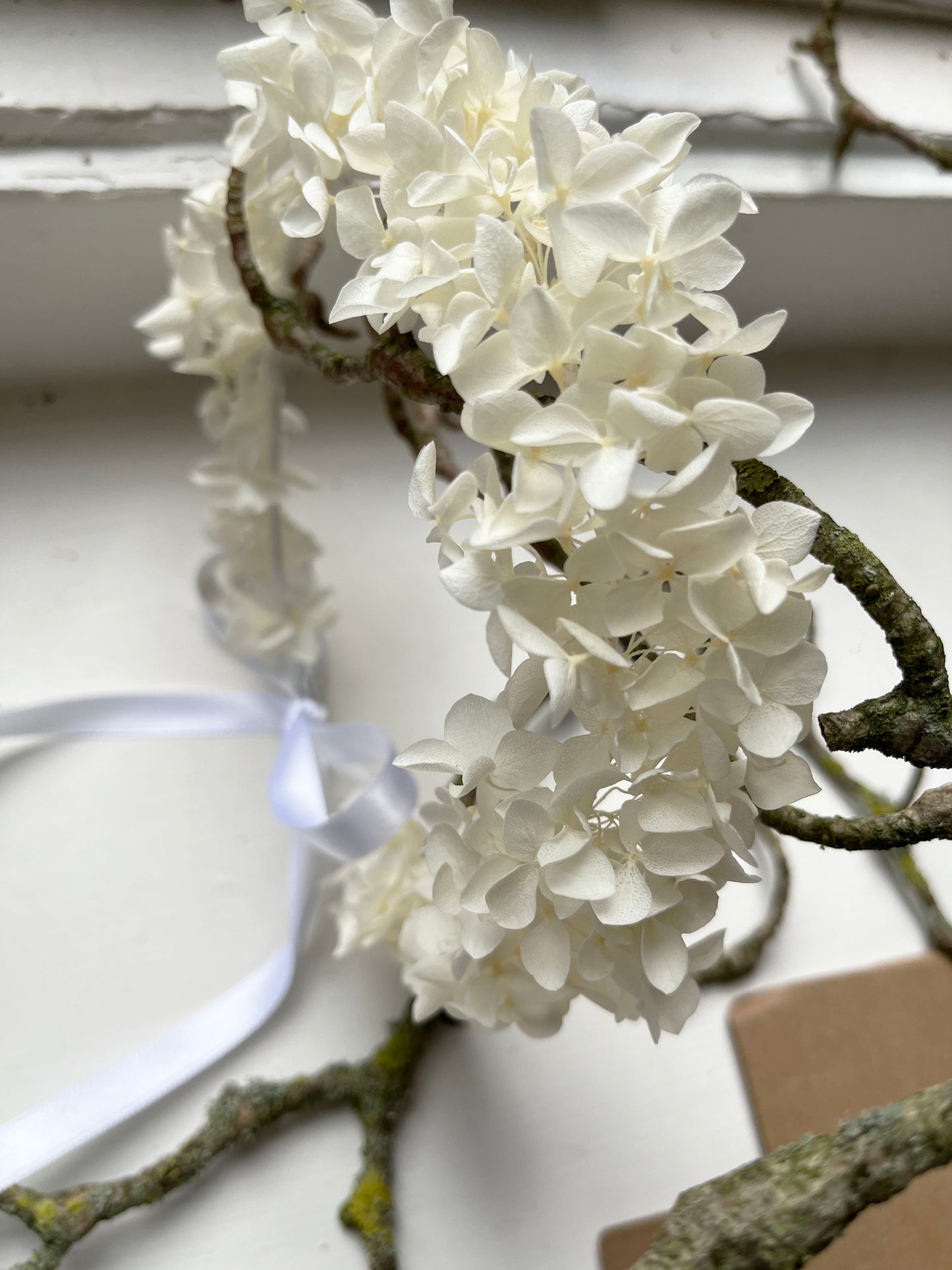 Everlasting White Flower Crown