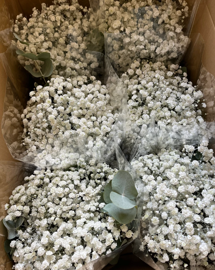 Eucalyptus Gypsophila Bridal and Bridesmaid Bouquet